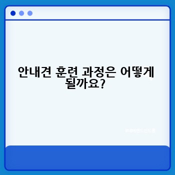 안내견 훈련 과정은 어떻게 될까요?