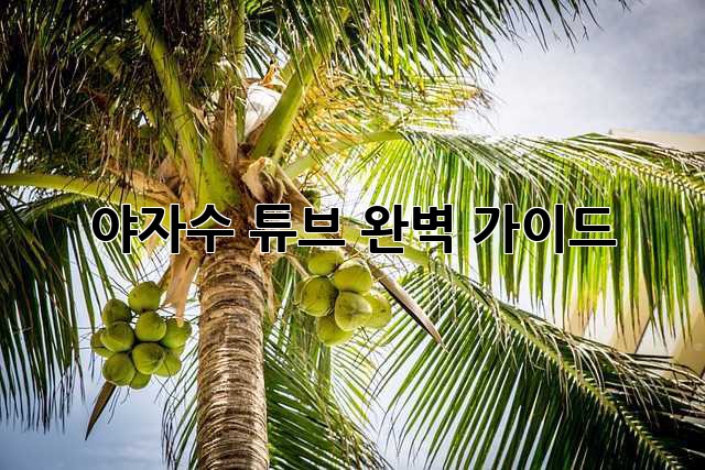 야자수 튜브: 완벽 가이드