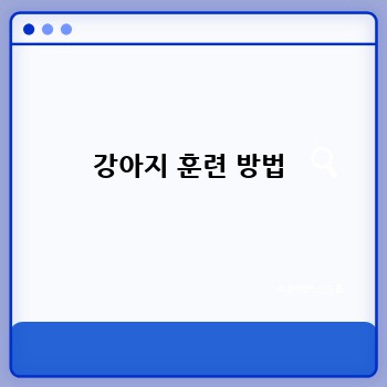 강아지 훈련 방법