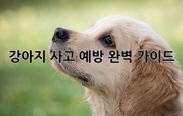 강아지 사고 예방 완벽 가이드