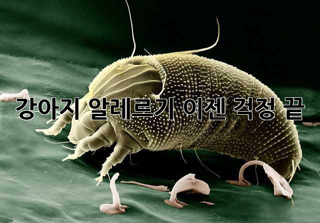 강아지 알레르기? 이젠 걱정 끝!