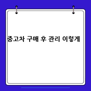 중고차 구매 후 관리 이렇게 