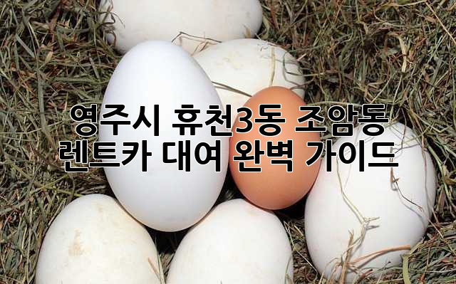 영주시 휴천3동, 조암동 렌트카 대여 완벽 가이드