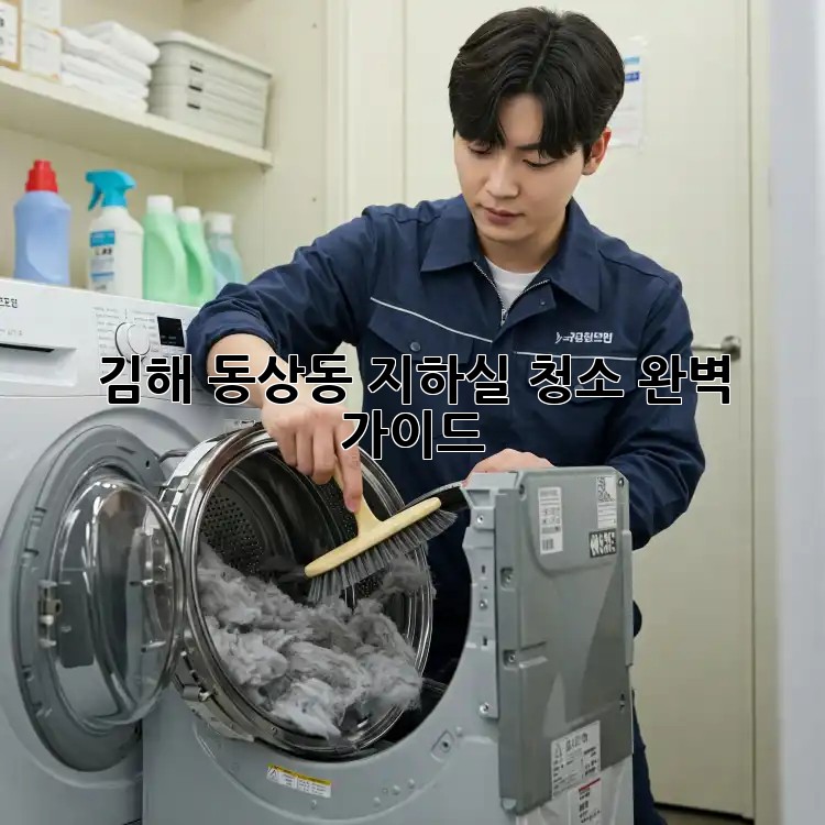 김해 동상동 지하실 청소 완벽 가이드