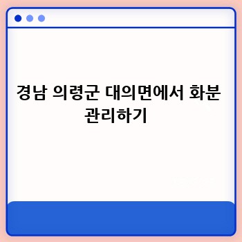 경남 의령군 대의면에서 화분 관리하기 