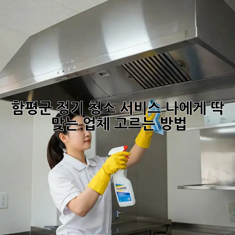 함평군 정기 청소 서비스: 나에게 딱 맞는 업체 고르는 방법