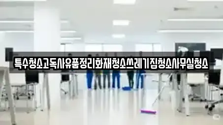 특수청소고독사유품정리화재청소쓰레기집청소사무실청소