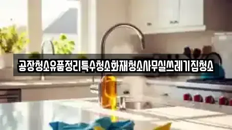 공장청소유품정리특수청소화재청소사무실쓰레기집청소