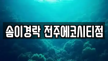솜이경락 전주에코시티점