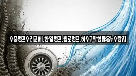 수중펌프수리교체,한일펌프,윌로펌프,하수구막힘뚫음누수탐지