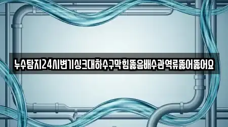 배수관 막힘 인기 경기도 대천동 2업체 리스트