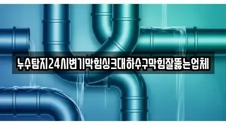 누수탐지24시변기막힘싱크대하수구막힘잘뚫는업체