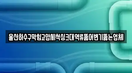 울산하수구막힘고압세척싱크대역류뚫어변기뚫는업체