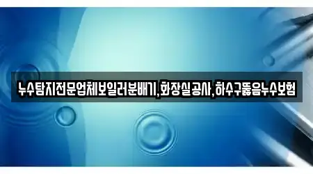 누수탐지전문업체보일러분배기,화장실공사,하수구뚫음누수보험