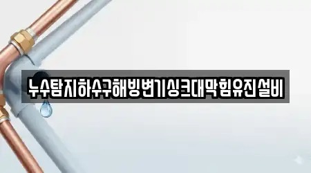 누수탐지하수구해빙변기싱크대막힘유진설비