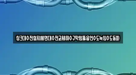 싱크대수전설치세면대수전교체하수구막힘뚫음언수도녹임수도동파