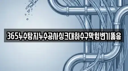 365누수탐지누수공사싱크대하수구막힘변기뚫음