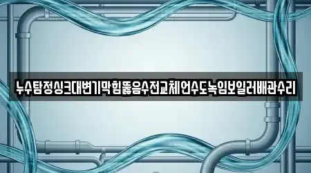 누수탐정싱크대변기막힘뚫음수전교체언수도녹임보일러배관수리
