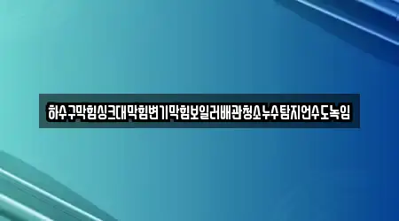 하수구막힘싱크대막힘변기막힘보일러배관청소누수탐지언수도녹임