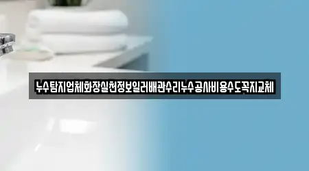 누수탐지업체화장실천정보일러배관수리누수공사비용수도꼭지교체