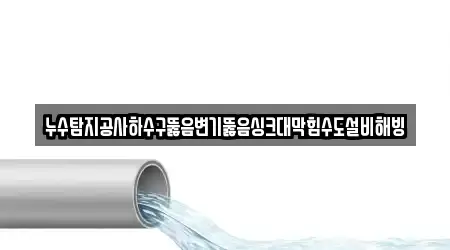 누수탐지공사하수구뚫음변기뚫음싱크대막힘수도설비해빙