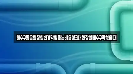 하수구뚫음화장실변기막힘뚫는비용싱크대화장실배수구막혔을때