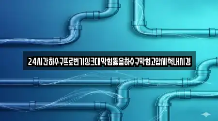 24시간하수구프로변기싱크대막힘뚫음하수구막힘고압세척내시경