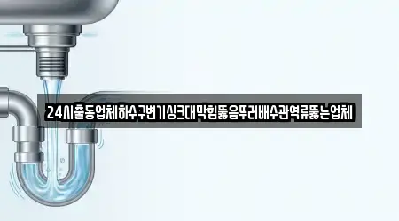 24시출동업체하수구변기싱크대막힘뚫음뚜러배수관역류뚫는업체