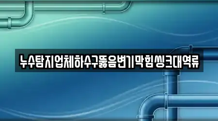 누수탐지업체하수구뚫음변기막힘씽크대역류