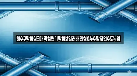 하수구막힘싱크대막힘변기막힘보일러배관청소누수탐지언수도녹임