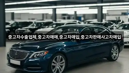 3곳 중고차매입 리스트