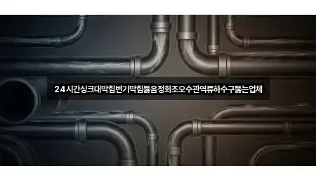 24시간싱크대막힘변기막힘뚫음정화조오수관역류하수구뚫는업체