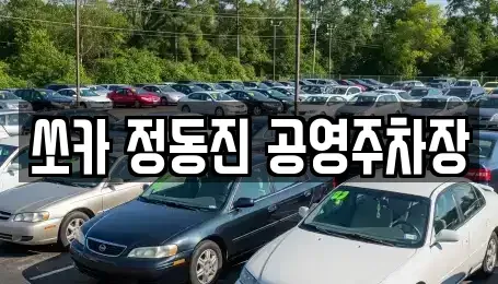강원 강릉시 강동면 렌트카 전문 쏘카 정동진 공영주차장