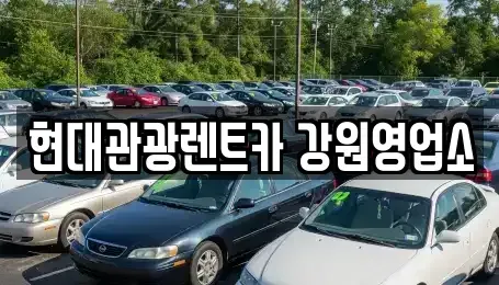 강원 강릉시 강동면 렌트카 전문 현대관광렌트카 강원영업소
