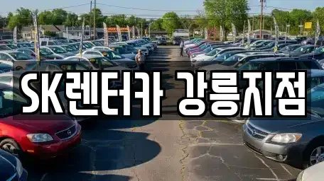 강원 강릉시 강동면 장기렌트카 전문 SK렌터카 강릉지점