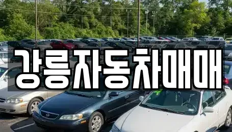 강원 강릉시 강동면 중고차매매 전문 강릉자동차매매