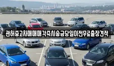 강원 강릉시 강동면 중고차매매 전문 관허중고차매매매각즉시송금당일이전무료출장견적