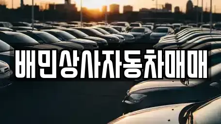 강원 강릉시 강동면 중고차매매 전문 배민상사자동차매매