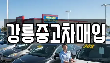 강원 강릉시 강동면 중고차매입 전문 강릉중고차매입