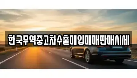 강원 강릉시 강동면 중고차매입 전문 한국무역중고차수출매입매매판매시세