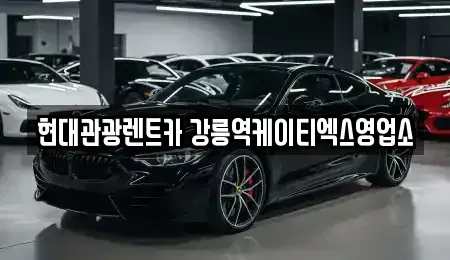 강원 강릉시 남문동 렌트카 전문 현대관광렌트카 강릉역케이티엑스영업소