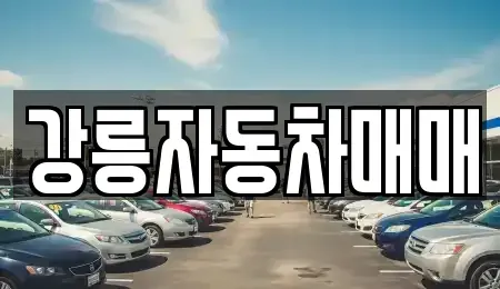 강원 강릉시 남문동 중고차 전문 강릉자동차매매