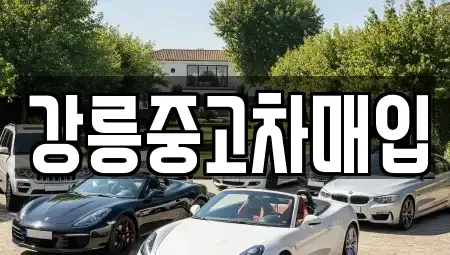 강원 강릉시 남문동 중고차 전문 강릉중고차매입