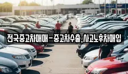 강원 강릉시 남문동 중고차 전문 전국중고차매매-중고차수출,사고노후차매입