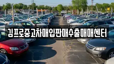 강원 강릉시 남문동 중고차매입 전문 김프로중고차매입판매수출매매센터