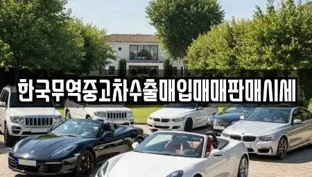 강원 강릉시 남문동 중고차매입 전문 한국무역중고차수출매입매매판매시세