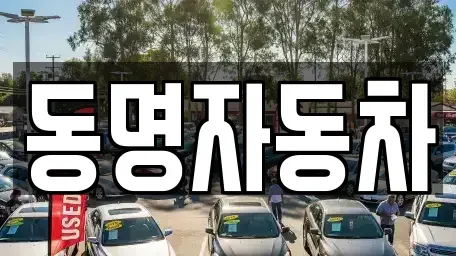 강원 강릉시 노암동 중고차 전문 동명자동차