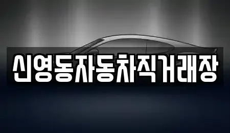 강원 강릉시 노암동 중고차 전문 신영동자동차직거래장