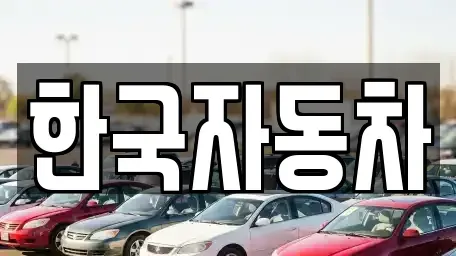 강원 강릉시 노암동 중고차 전문 한국자동차