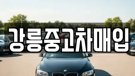강원 강릉시 노암동 중고차매입 전문 강릉중고차매입